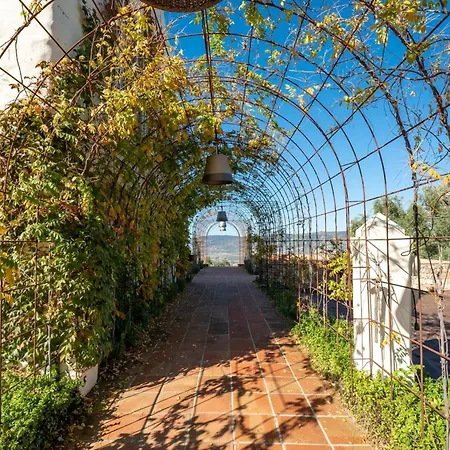 Cortijo La Almazara 론다