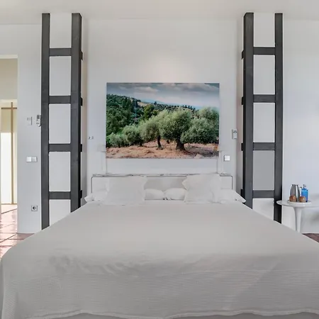 Cortijo La Almazara *