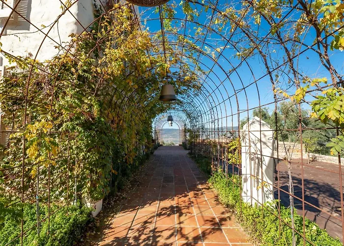 Cortijo La Almazara Ronda